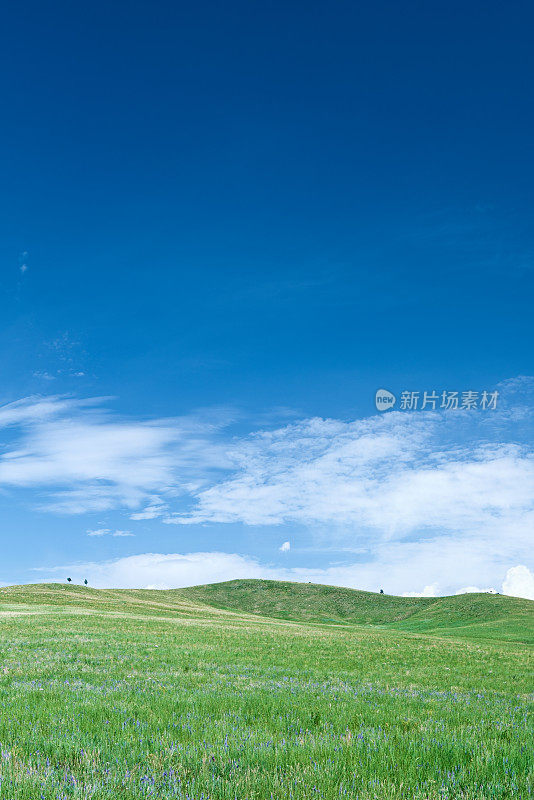 春景XXXXL 23MPix -草地，丘陵，蓝天